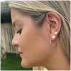 Maple Leaf Studs