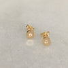 Cat and Nat &amp; The Right Hand Gal Mini Solid Gold Signature Studs - Pour remplacement seulement !